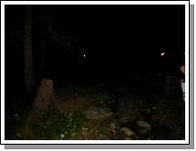d150350.JPG