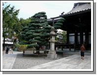 JAPAN0510.JPG