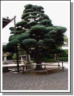 JAPAN0530.JPG