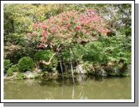 JAPAN0580.JPG